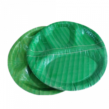 banana leaf plates can compost in a food digester